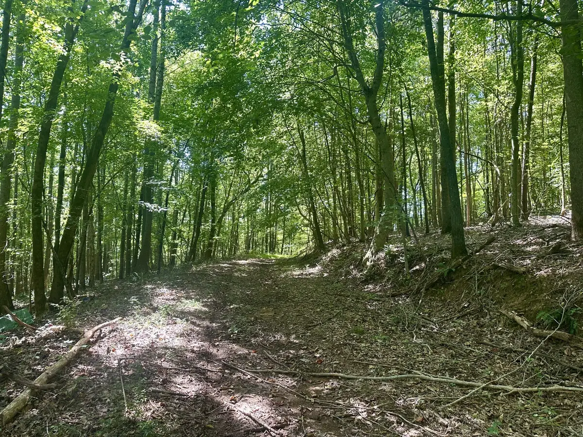 7721 Wayland Springs Rd, Iron City, TN 38463 - #1