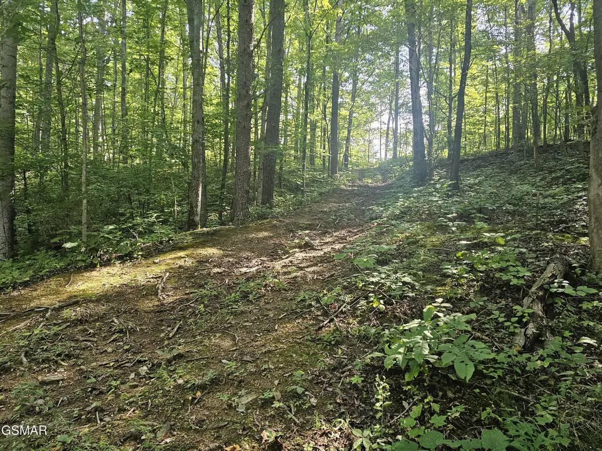 2 Franklin Lane, Sevierville, TN 37876 - #1