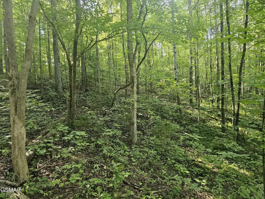 2 Franklin Lane, Sevierville, TN 37876 - #3