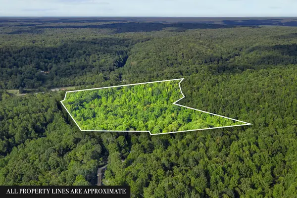 107 Possum Trot Ln, Linden, TN 37096