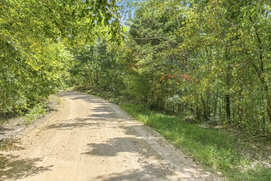 0 Scott Ridge Rd, Waynesboro, TN 38485 - #3