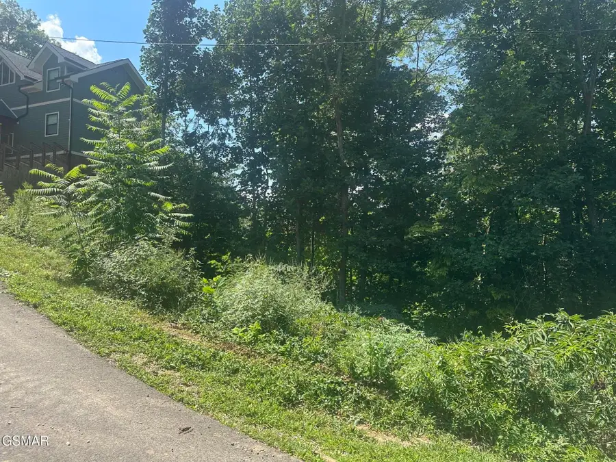 1921 Battle Top Road, Sevierville, TN 37876 - #2
