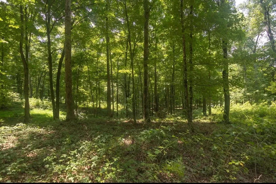 123 County Road 5, Calhoun, TN 37309 - #2