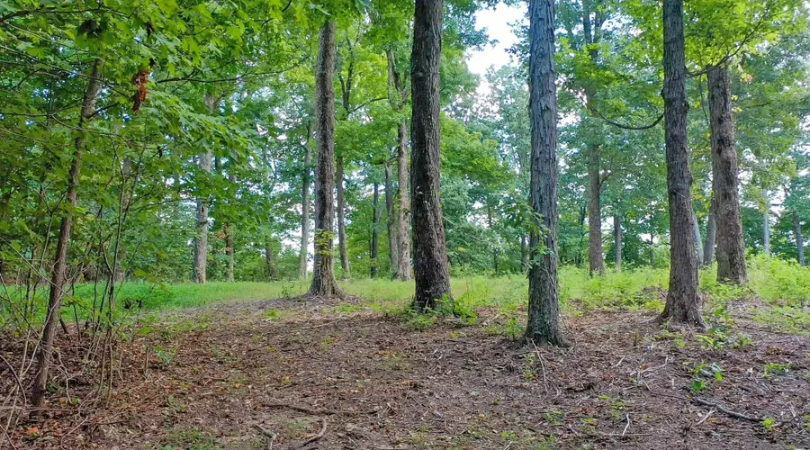 7659 Burks Rd, Christiana, TN 37037 - #3