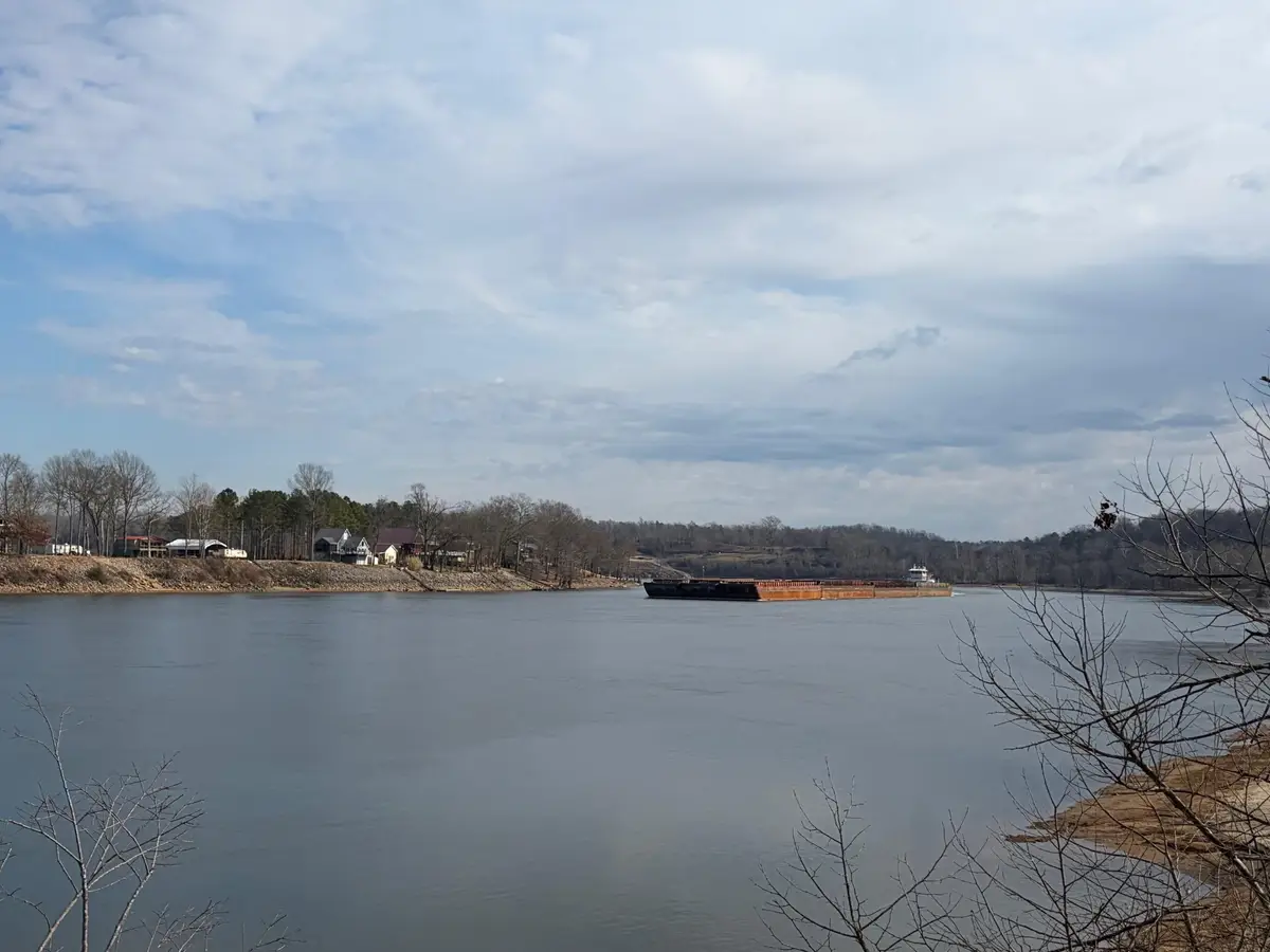 95 Cravens Rd, Savannah, TN 38372 - #1
