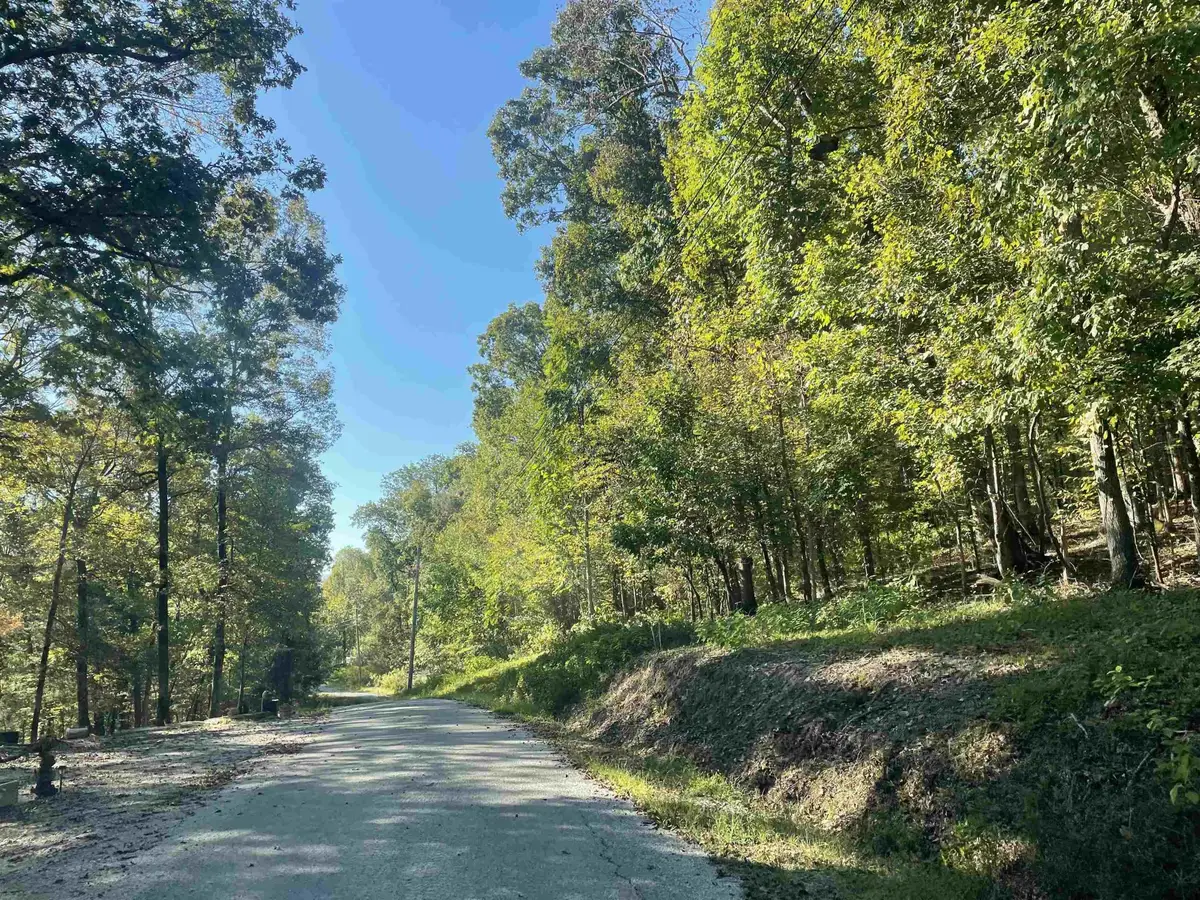 0 Crow Ln, Bath Springs, TN 38311 - #1