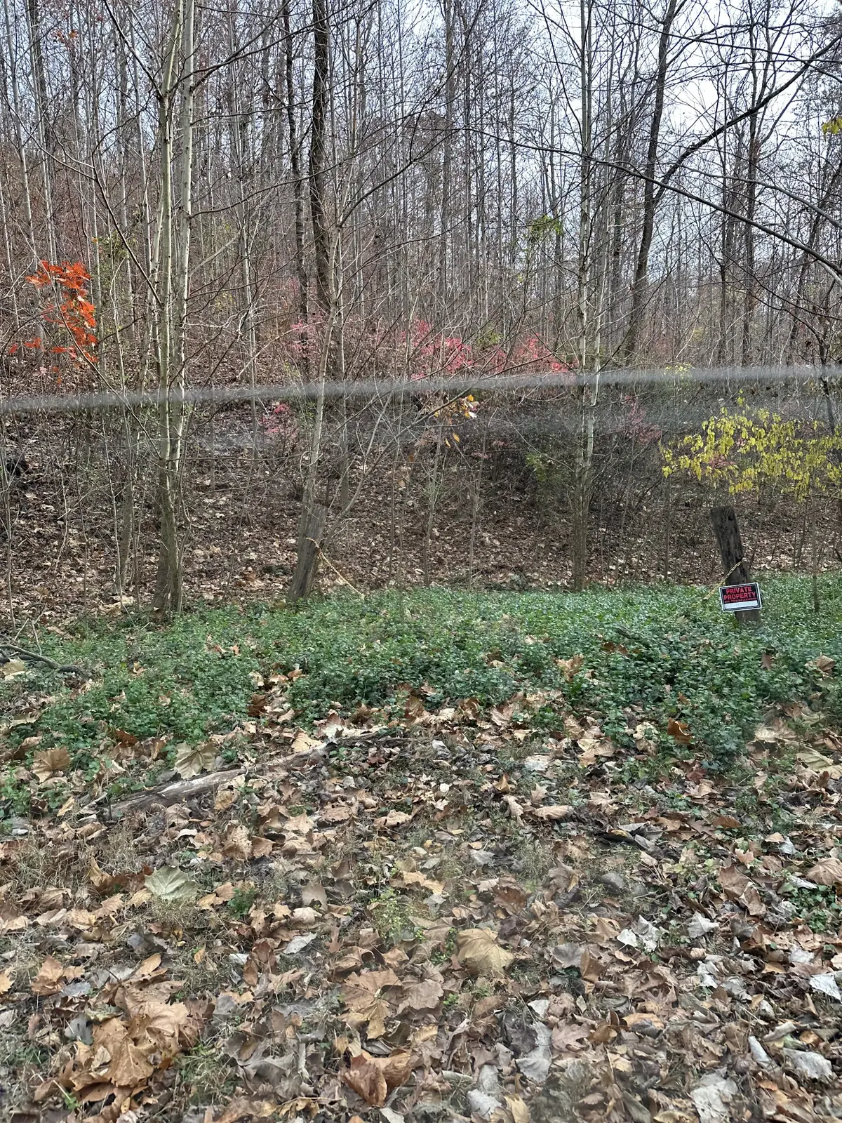 216 Happy Hollow Rd, Goodlettsville, TN 37072 - #1