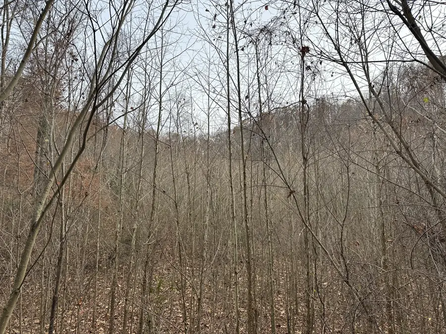 216 Happy Hollow Rd, Goodlettsville, TN 37072 - #2