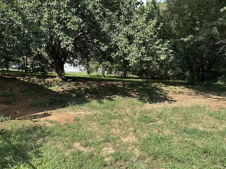 1586 Blackberry Pl, Clarksville, TN 37042 - #3