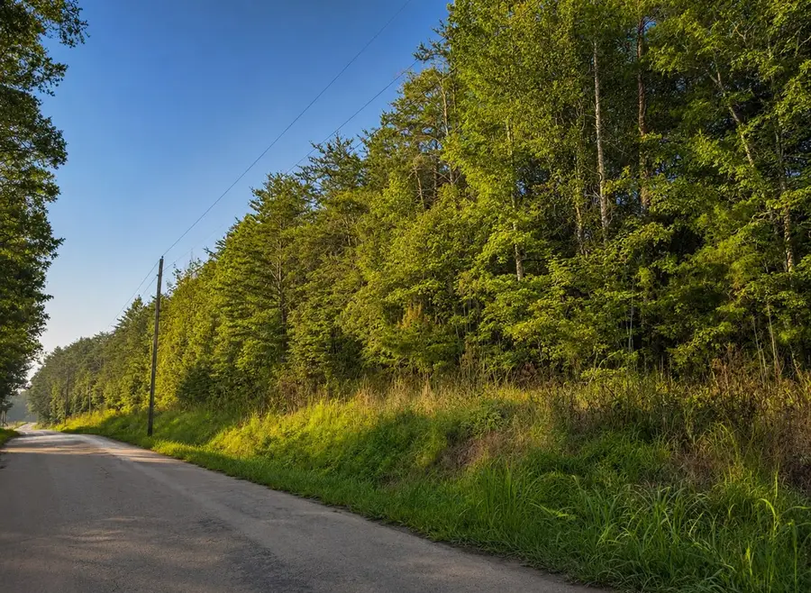 0 Three Point Rd, Tellico Plains, TN 37385 - #3