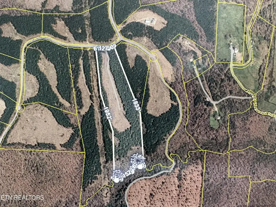 145 Black Bear Lane, Sunbright, TN 37872 - #3