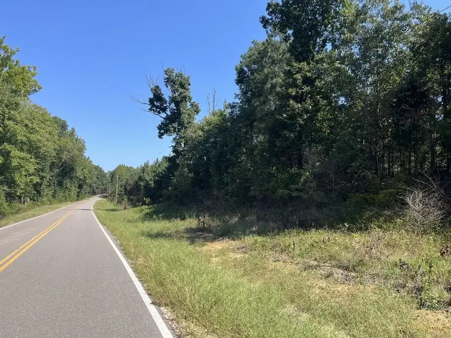 0 Guthrie Road, Paris, TN 38242 - #2