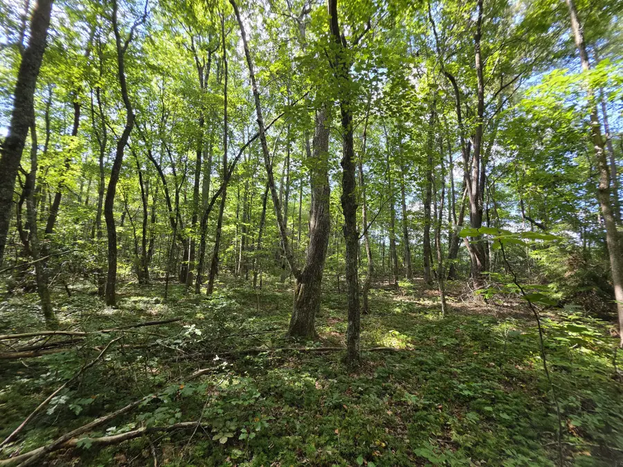 0 Northcutts Cove Road, Beersheba Springs, TN 37305 - #3