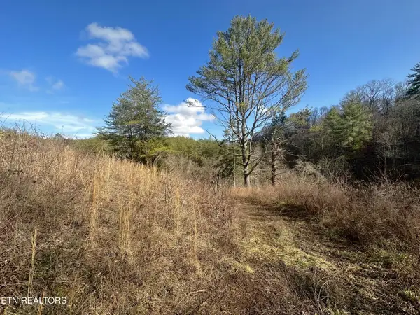 0 Leatherwood Rd, Sevierville, TN 37876