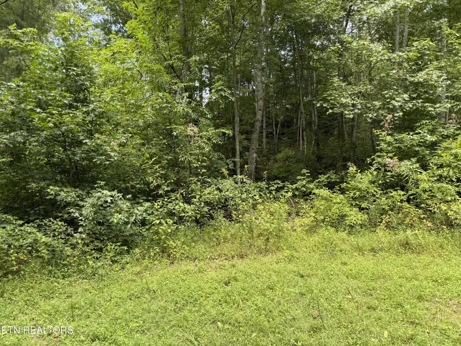 0 Coy Rhea Way, Sevierville, TN 37876 - #2