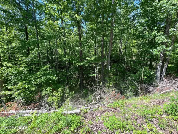 26 Black Oak Pl, Sevierville, TN 37876