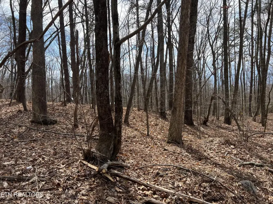 0 Swann Saddle, Sevierville, TN 37876 - #2