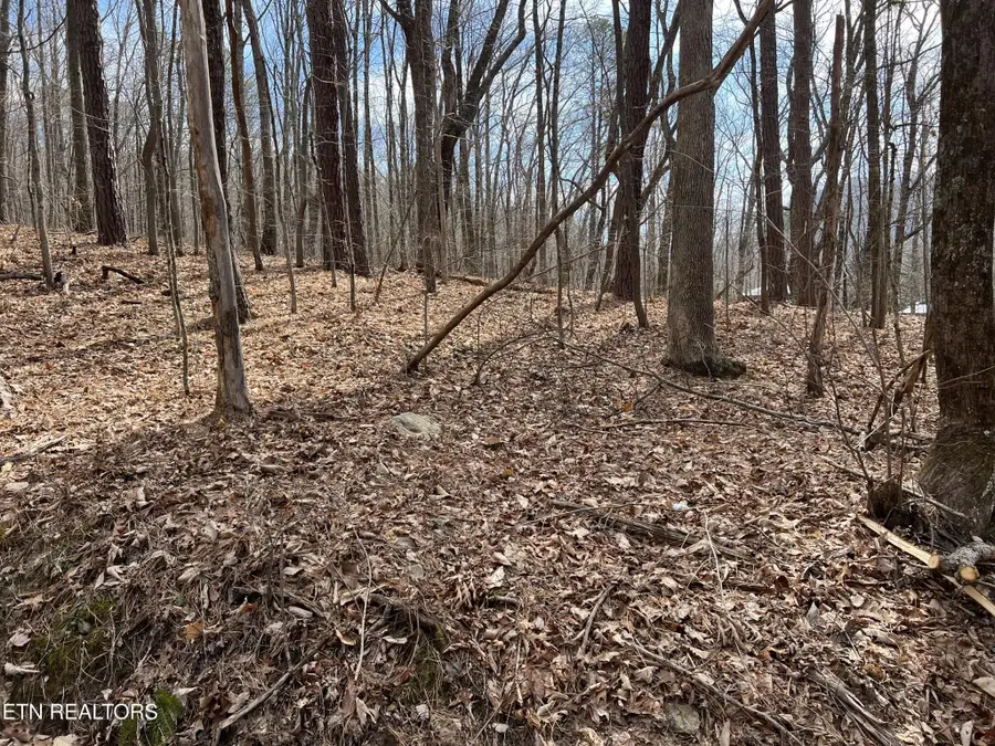 0 Swann Saddle, Sevierville, TN 37876 - #3