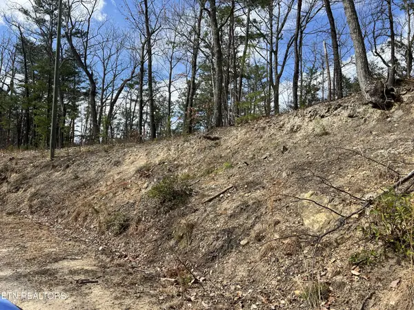 0 Chestnut Ridge Court, Sevierville, TN 37876