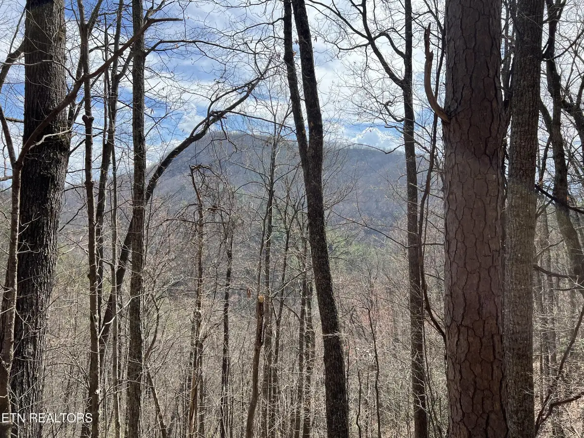 0 Aintree Drive, Sevierville, TN 37876 - #1