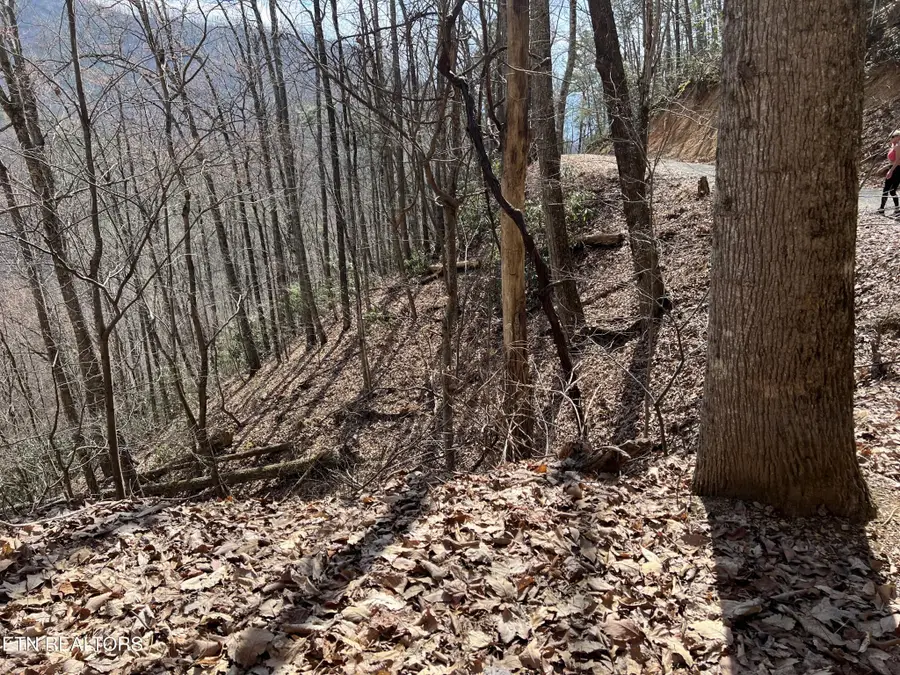 0 Aintree Drive, Sevierville, TN 37876 - #2