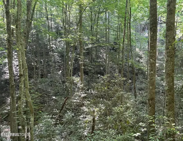 70 Hazelnut Lane, Sevierville, TN 37876