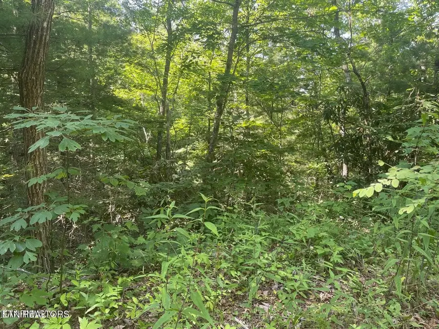 89 Sycamore St, Sevierville, TN 37876 - #3