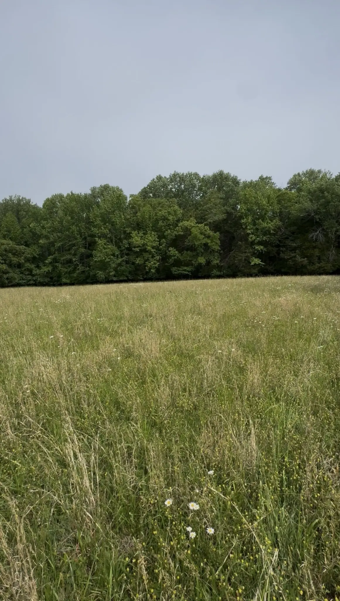 0 Riverview Road, Mount Juliet, TN 37122 - #1