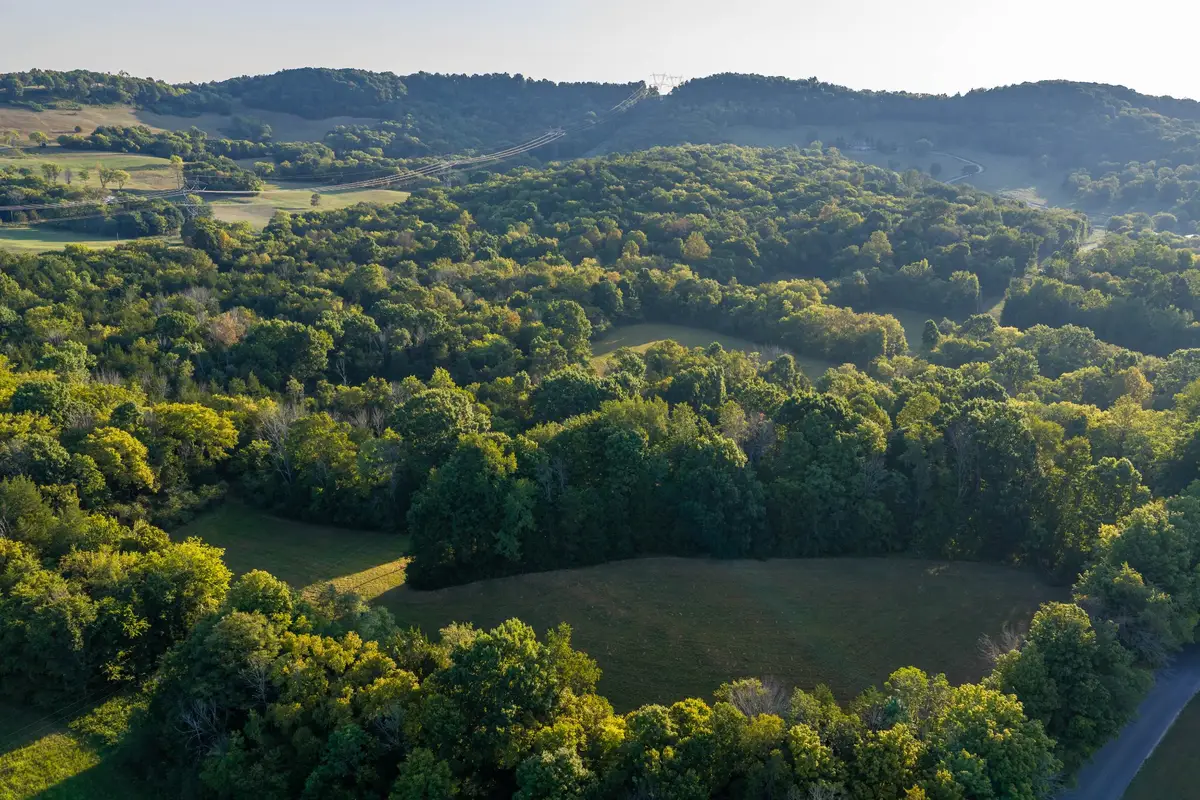 0 Choctaw Road, College Grove, TN 37046 - #1