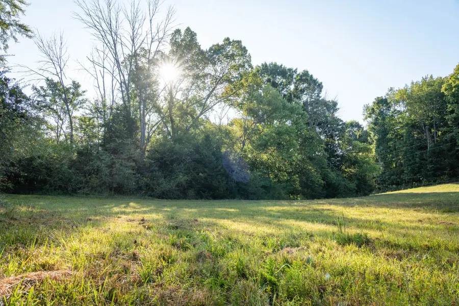0 Choctaw Road, College Grove, TN 37046 - #2