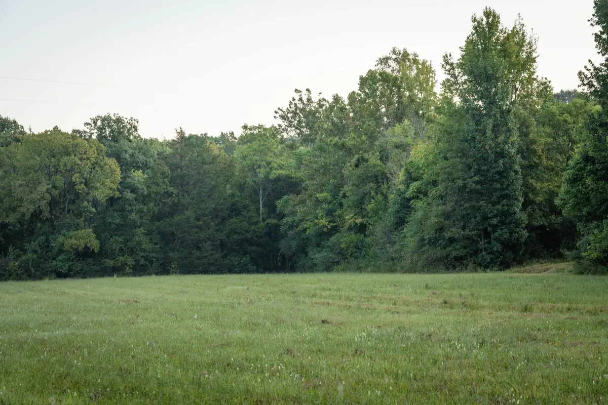 0 Choctaw Road, College Grove, TN 37046 - #1