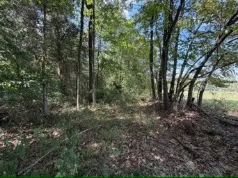 1970 Graham Cypress Rd, Greenville, KY 42345 - #1