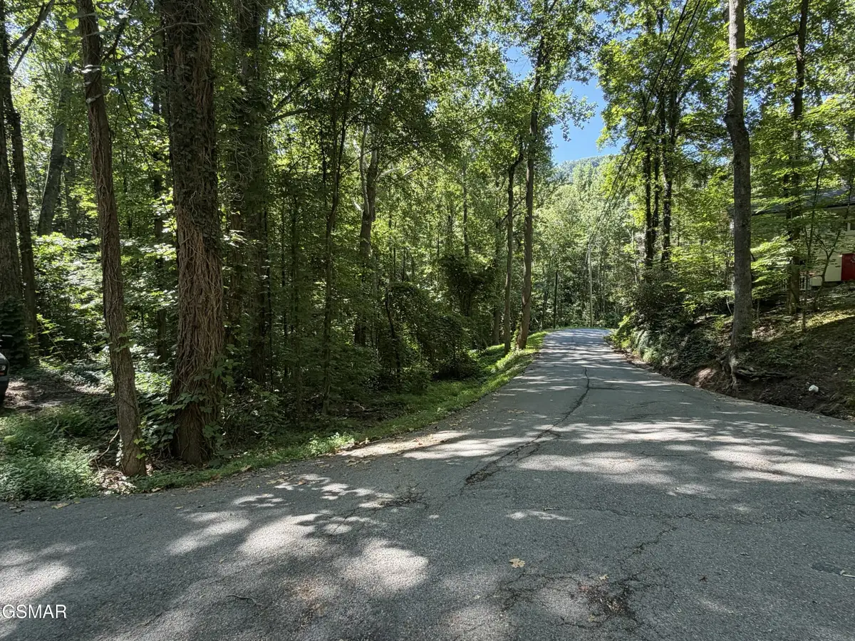 3 Low Gap Road, Gatlinburg, TN 37738 - #1
