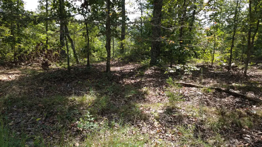 0 Hogg Hill Rd, Lobelville, TN 37097 - #2