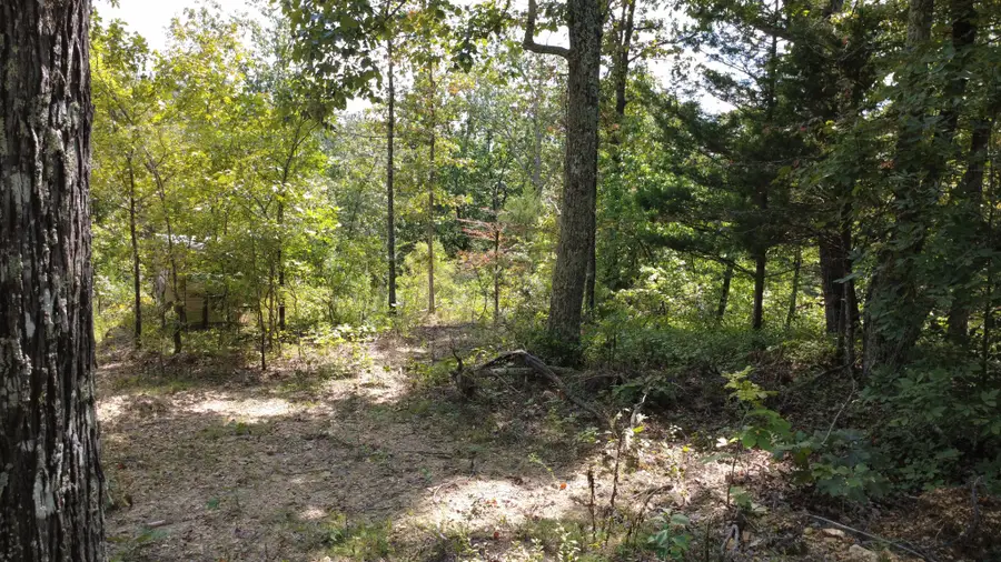 0 Hogg Hill Rd, Lobelville, TN 37097 - #3