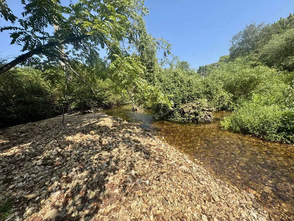 7581 Highway 438 W, Linden, TN 37096 - #1