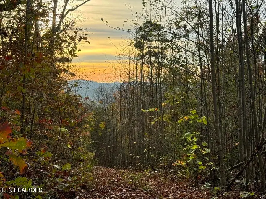 0 Three Point Rd, Vonore, TN 37885 - #2