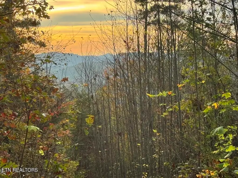 0 Three Point Rd, Vonore, TN 37885 - #3