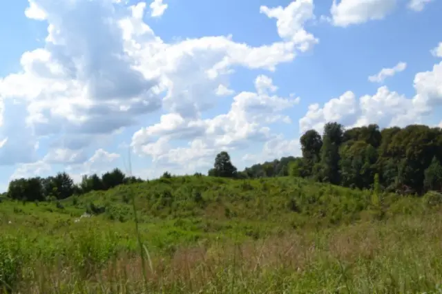 0 Landing Lane, Smithville, TN 37166 - #1