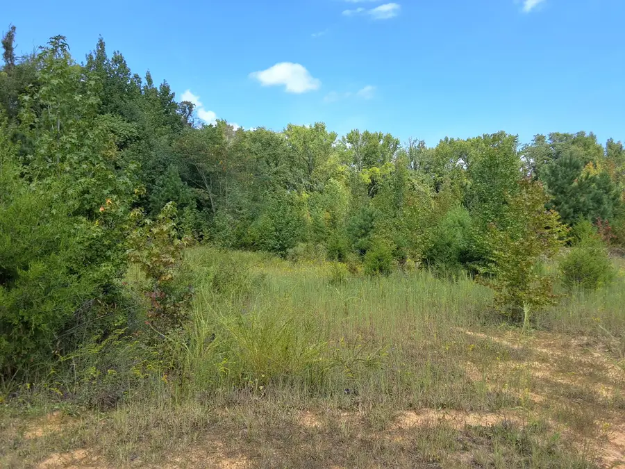 4675 Benders Ferry Rd, Mount Juliet, TN 37122 - #3
