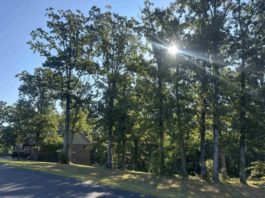 489 Rivers Edge Dr, Bath Springs, TN 38311 - #2