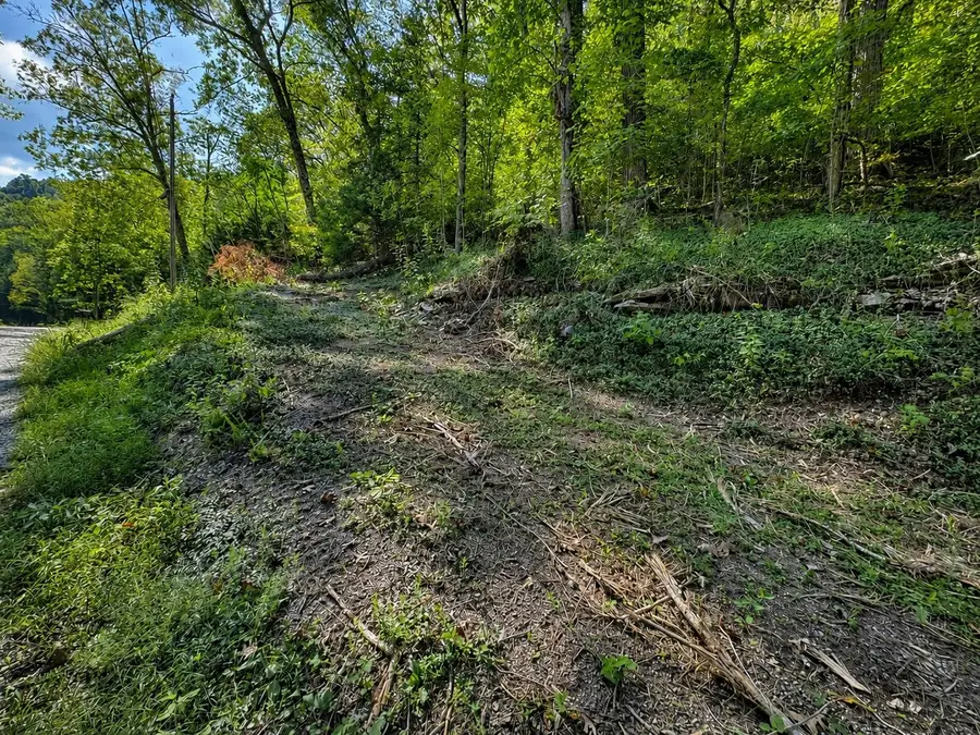 0 Halls Hill Rd, Smithville, TN 37166 - #2