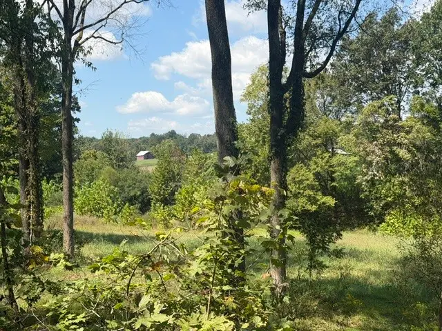 0 Stayton Rd, Cumberland Furnace, TN 37051 - #3
