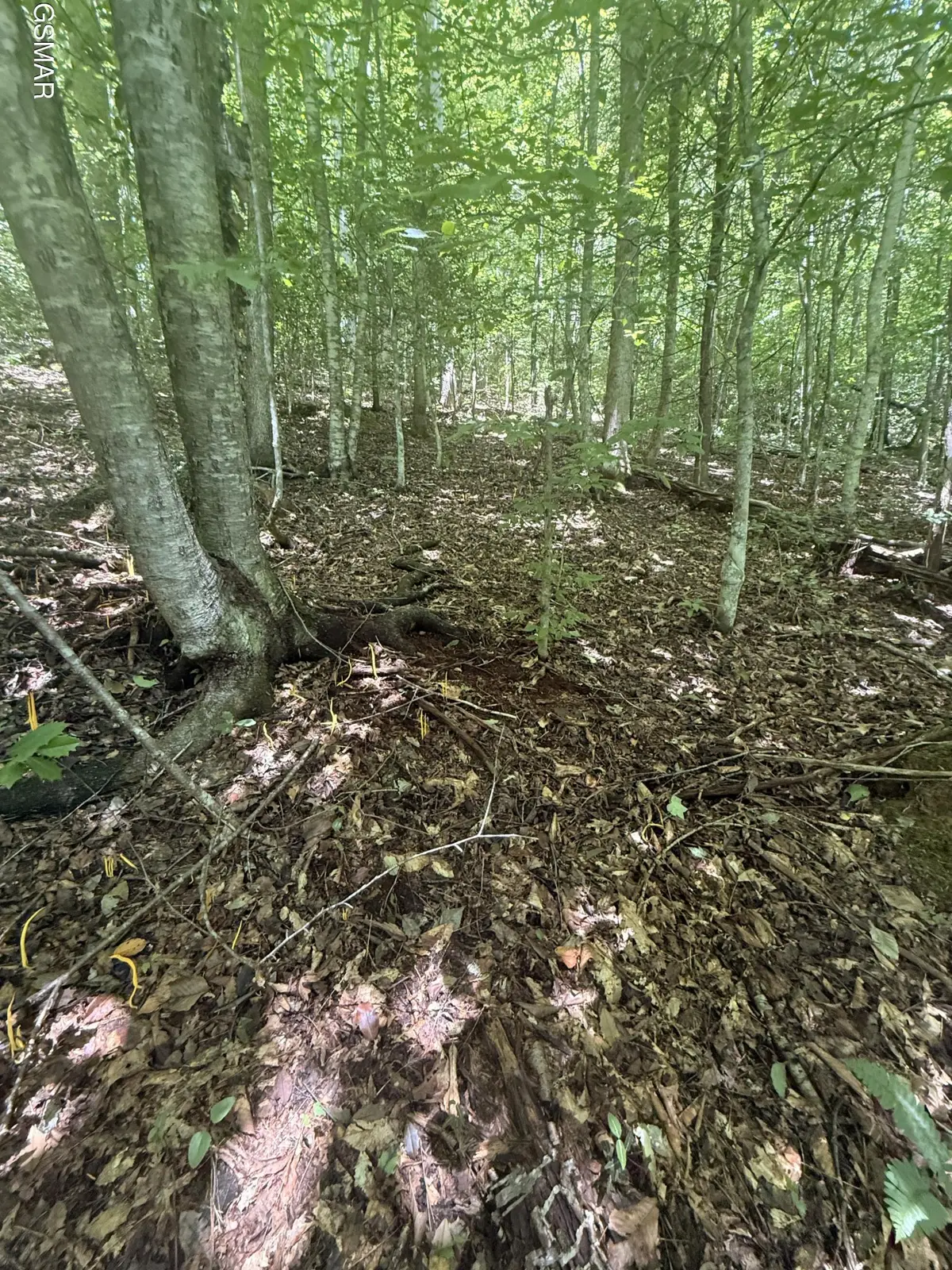 0 Suttons Road, Sevierville, TN 37876 - #1
