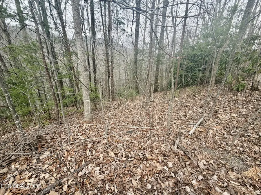 0 Thissa Way, Gatlinburg, TN 37738 - #2
