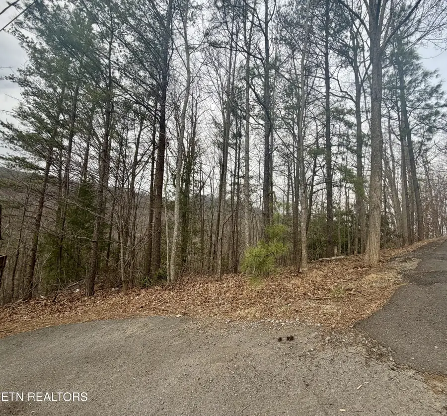 0 Thissa Way, Gatlinburg, TN 37738 - #3