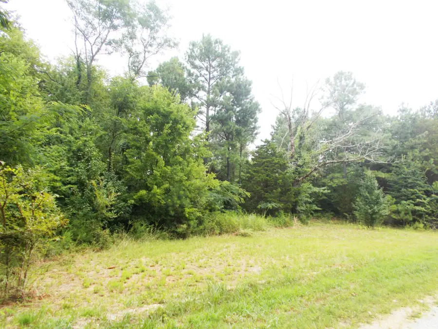 0 Sand Pit Loop, Camden, TN 38320 - #2