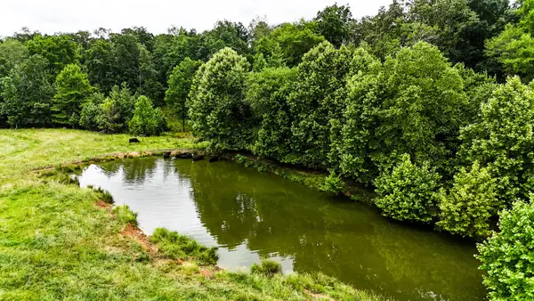 0 David Patterson Rd, Lutts, TN 38471