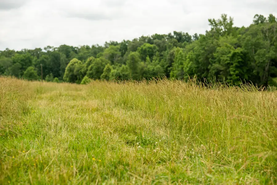 0 David Patterson Rd, Lutts, TN 38471 - #3