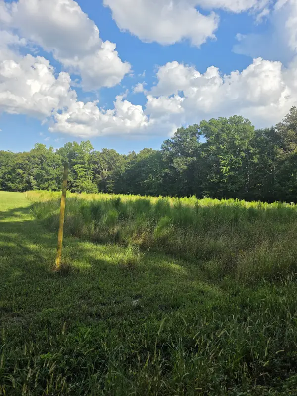 0 Pepper Road, Taft, TN 38488